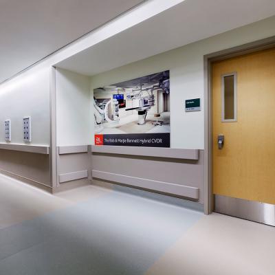 Cove Led Hospital